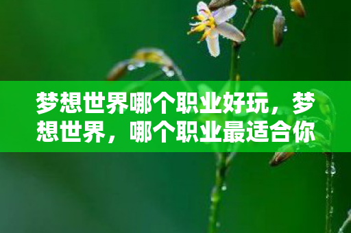 梦想世界哪个职业好玩,梦想世界,哪个职业最适合你? 梦想世界哪个职业好玩,梦想世界,哪个职业最适合你?