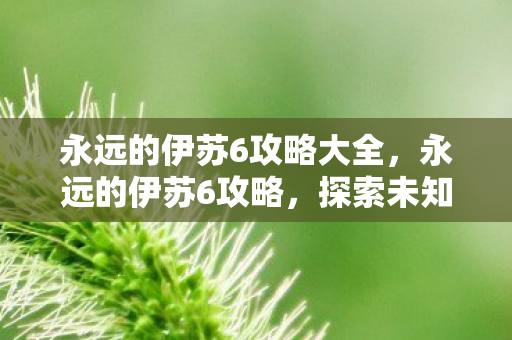 永远的伊苏6攻略大全,永远的伊苏6攻略,探索未知世界的全面指南 永远的伊苏6攻略大全,永远的伊苏6攻略,探索未知世界的全面指南