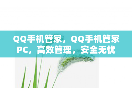 QQ手机管家,QQ手机管家PC,高效管理,安全无忧 QQ手机管家,QQ手机管家PC,高效管理,安全无忧