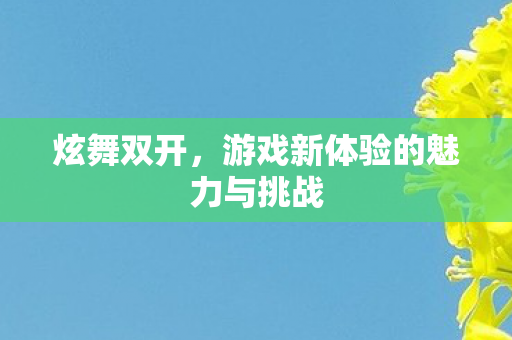 炫舞双开,游戏新体验的魅力与挑战 炫舞双开,游戏新体验的魅力与挑战