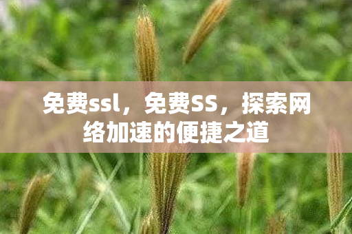 免费ssl,免费SS,探索网络加速的便捷之道 免费ssl,免费SS,探索网络加速的便捷之道