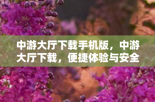 中游大厅下载手机版，中游大厅下载，便捷体验与安全保障的完美结合
