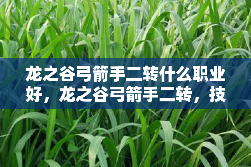 龙之谷弓箭手二转什么职业好，龙之谷弓箭手二转，技能与战术的深度解析