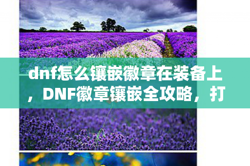 dnf怎么镶嵌徽章在装备上,DNF徽章镶嵌全攻略,打造个性角色,提升战斗实力 dnf怎么镶嵌徽章在装备上,DNF徽章镶嵌全攻略,打造个性角色,提升战斗实力