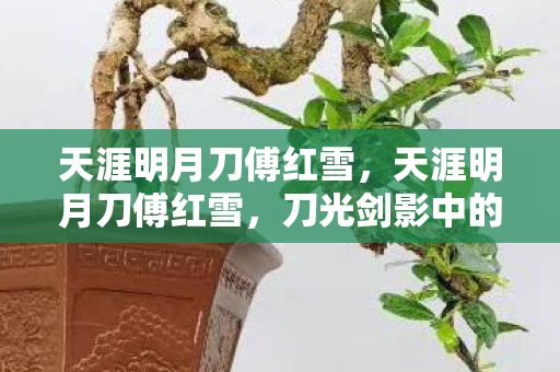 天涯明月刀傅红雪,天涯明月刀傅红雪,刀光剑影中的孤独剑客 天涯明月刀傅红雪,天涯明月刀傅红雪,刀光剑影中的孤独剑客