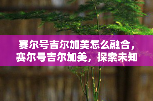 赛尔号吉尔加美怎么融合,赛尔号吉尔加美,探索未知,挑战极限 赛尔号吉尔加美怎么融合,赛尔号吉尔加美,探索未知,挑战极限