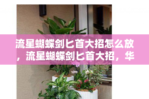 流星蝴蝶剑匕首大招怎么放,流星蝴蝶剑匕首大招,华丽与实用的完美结合 流星蝴蝶剑匕首大招怎么放,流星蝴蝶剑匕首大招,华丽与实用的完美结合