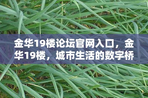 金华19楼论坛官网入口，金华19楼，城市生活的数字桥梁