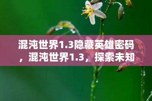 混沌世界1.3隐藏英雄密码,混沌世界1.3,探索未知世界的奇幻之旅 混沌世界1.3隐藏英雄密码,混沌世界1.3,探索未知世界的奇幻之旅