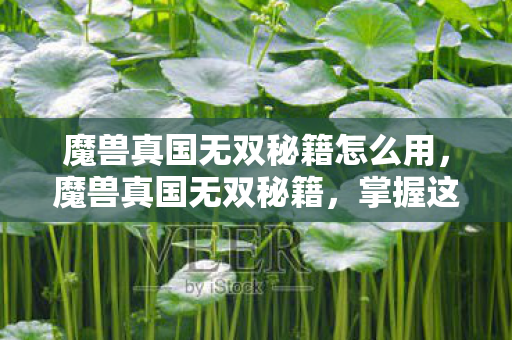 魔兽真国无双秘籍怎么用,魔兽真国无双秘籍,掌握这些技巧,称霸战场! 魔兽真国无双秘籍怎么用,魔兽真国无双秘籍,掌握这些技巧,称霸战场!