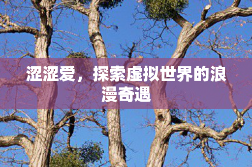 涩涩爱,探索虚拟世界的浪漫奇遇 涩涩爱,探索虚拟世界的浪漫奇遇