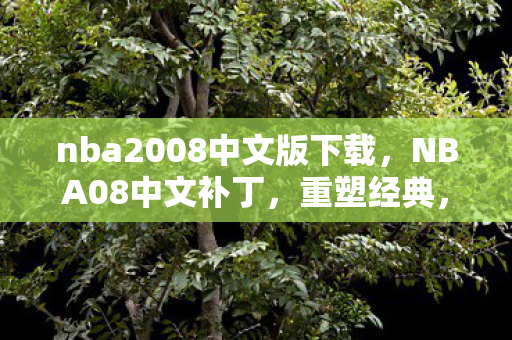 nba2008中文版下载，NBA08中文补丁，重塑经典，尽享篮球盛宴