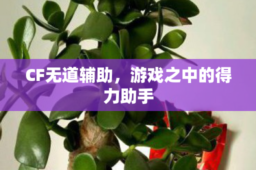 CF无道辅助,游戏之中的得力助手 CF无道辅助,游戏之中的得力助手