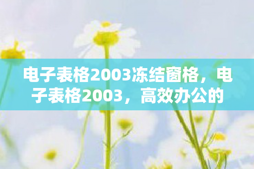 电子表格2003冻结窗格,电子表格2003,高效办公的得力助手 电子表格2003冻结窗格,电子表格2003,高效办公的得力助手