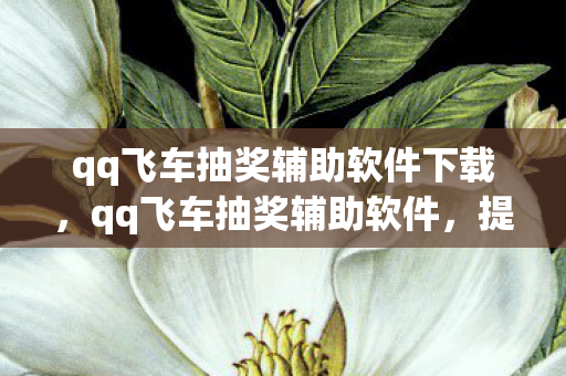 qq飞车抽奖辅助软件下载,qq飞车抽奖辅助软件,提升游戏乐趣的合法工具 qq飞车抽奖辅助软件下载,qq飞车抽奖辅助软件,提升游戏乐趣的合法工具