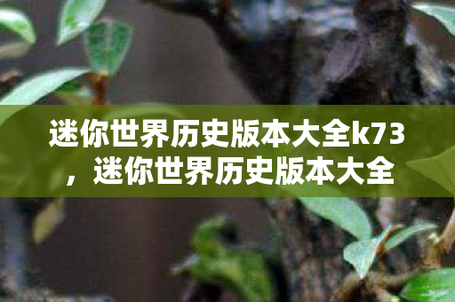 迷你世界历史版本大全k73,迷你世界历史版本大全 迷你世界历史版本大全k73,迷你世界历史版本大全