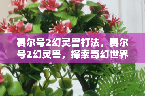 赛尔号2幻灵兽打法,赛尔号2幻灵兽,探索奇幻世界的奇妙冒险 赛尔号2幻灵兽打法,赛尔号2幻灵兽,探索奇幻世界的奇妙冒险