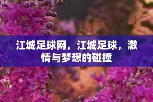 江城足球网,江城足球,激情与梦想的碰撞 江城足球网,江城足球,激情与梦想的碰撞
