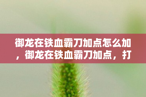御龙在铁血霸刀加点怎么加,御龙在铁血霸刀加点,打造最强战士的加点攻略 御龙在铁血霸刀加点怎么加,御龙在铁血霸刀加点,打造最强战士的加点攻略