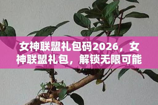 女神联盟礼包码2026,女神联盟礼包,解锁无限可能的神秘钥匙 女神联盟礼包码2026,女神联盟礼包,解锁无限可能的神秘钥匙