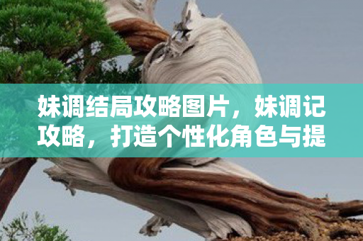 妹调结局攻略图片,妹调记攻略,打造个性化角色与提升游戏体验的全面指南 妹调结局攻略图片,妹调记攻略,打造个性化角色与提升游戏体验的全面指南