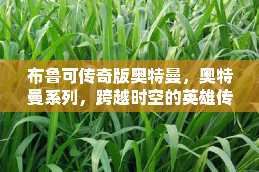 布鲁可传奇版奥特曼,奥特曼系列,跨越时空的英雄传奇 布鲁可传奇版奥特曼,奥特曼系列,跨越时空的英雄传奇