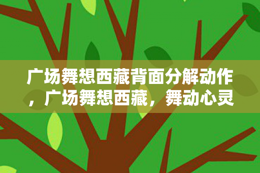 广场舞想西藏背面分解动作，广场舞想西藏，舞动心灵的边疆之旅
