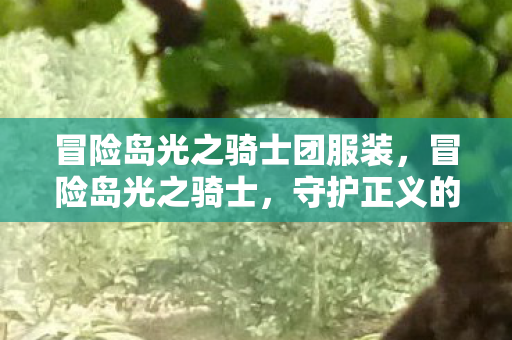 冒险岛光之骑士团服装，冒险岛光之骑士，守护正义的骑士之旅