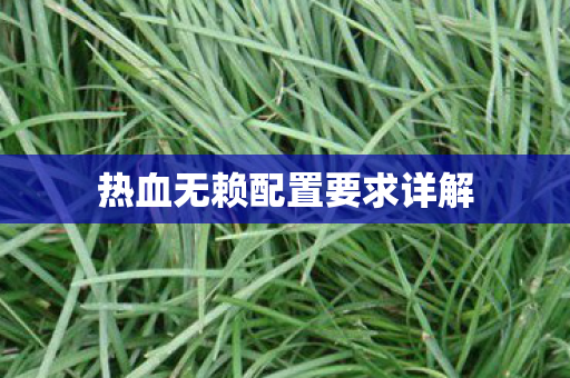 热血无赖配置要求详解