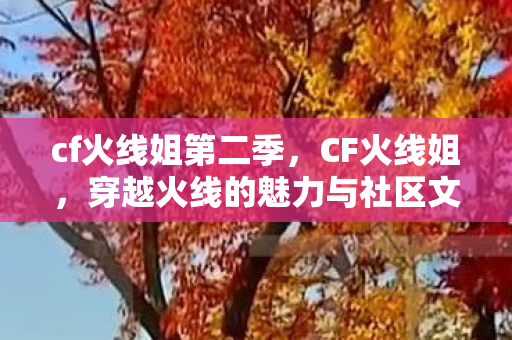 cf火线姐第二季,CF火线姐,穿越火线的魅力与社区文化 cf火线姐第二季,CF火线姐,穿越火线的魅力与社区文化