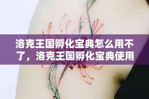 洛克王国孵化宝典怎么用不了，洛克王国孵化宝典使用指南