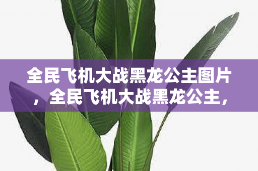 全民飞机大战黑龙公主图片,全民飞机大战黑龙公主,挑战与荣耀的空中盛宴 全民飞机大战黑龙公主图片,全民飞机大战黑龙公主,挑战与荣耀的空中盛宴