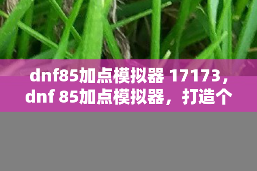 dnf85加点模拟器 17173,dnf 85加点模拟器,打造个性化角色,提升战斗效率 dnf85加点模拟器 17173,dnf 85加点模拟器,打造个性化角色,提升战斗效率