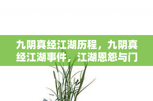 九阴真经江湖历程,九阴真经江湖事件,江湖恩怨与门派纷争 九阴真经江湖历程,九阴真经江湖事件,江湖恩怨与门派纷争
