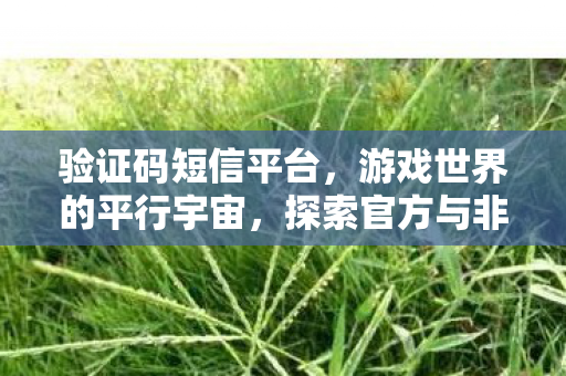 验证码短信平台,游戏世界的平行宇宙,探索官方与非官方服务器的独特魅力 验证码短信平台,游戏世界的平行宇宙,探索官方与非官方服务器的独特魅力