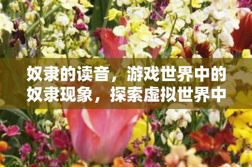 奴隶的读音，游戏世界中的奴隶现象，探索虚拟世界中的不平等
