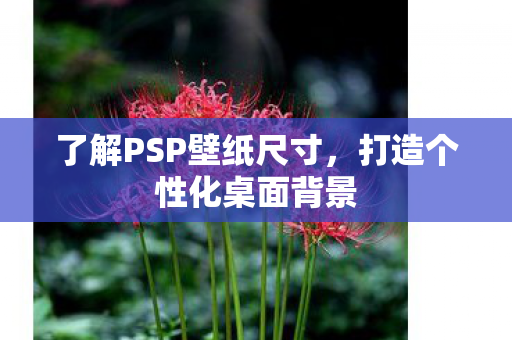 了解PSP壁纸尺寸,打造个性化桌面背景 了解PSP壁纸尺寸,打造个性化桌面背景