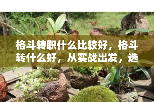 格斗转职什么比较好,格斗转什么好,从实战出发,选择最适合你的格斗风格 格斗转职什么比较好,格斗转什么好,从实战出发,选择最适合你的格斗风格