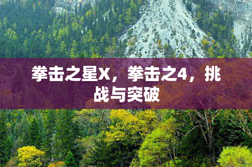 拳击之星X,拳击之4,挑战与突破 拳击之星X,拳击之4,挑战与突破