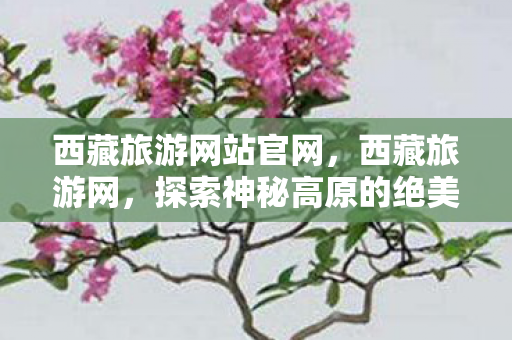 西藏旅游网站官网,西藏旅游网,探索神秘高原的绝美风光 西藏旅游网站官网,西藏旅游网,探索神秘高原的绝美风光