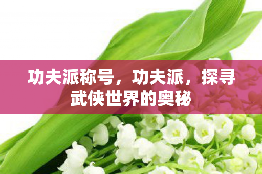 功夫派称号,功夫派,探寻武侠世界的奥秘 功夫派称号,功夫派,探寻武侠世界的奥秘
