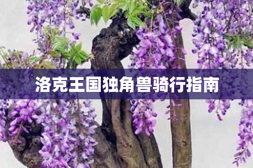 洛克王国独角兽骑行指南 洛克王国独角兽骑行指南