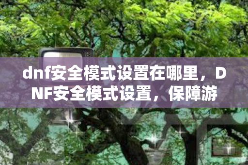dnf安全模式设置在哪里,DNF安全模式设置,保障游戏安全,提升玩家体验 dnf安全模式设置在哪里,DNF安全模式设置,保障游戏安全,提升玩家体验