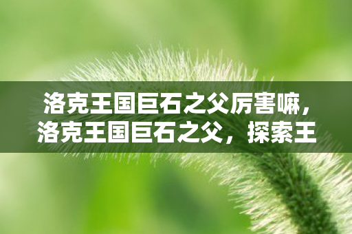 洛克王国巨石之父厉害嘛，洛克王国巨石之父，探索王国背后的传奇