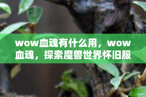 wow血魂有什么用,wow血魂,探索魔兽世界怀旧服中的经典与情怀 wow血魂有什么用,wow血魂,探索魔兽世界怀旧服中的经典与情怀