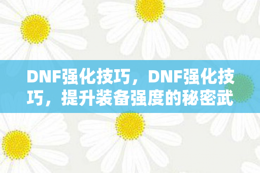 DNF强化技巧,DNF强化技巧,提升装备强度的秘密武器 DNF强化技巧,DNF强化技巧,提升装备强度的秘密武器