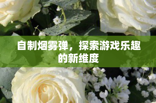 自制烟雾弹，探索游戏乐趣的新维度