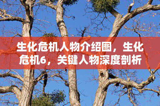生化危机人物介绍图,生化危机6,关键人物深度剖析 生化危机人物介绍图,生化危机6,关键人物深度剖析