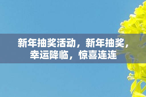 新年抽奖活动,新年抽奖,幸运降临,惊喜连连 新年抽奖活动,新年抽奖,幸运降临,惊喜连连