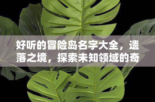 好听的冒险岛名字大全,遗落之境,探索未知领域的奇幻冒险 好听的冒险岛名字大全,遗落之境,探索未知领域的奇幻冒险